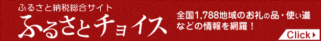 ふるさと納税をして、とび島丸乗船券をGET！